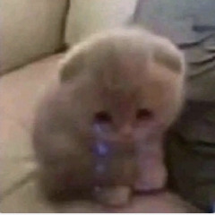 Canela dulce 2025 .m4a