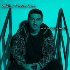 Moloko - Forever more (Andrew Meller Remix)
