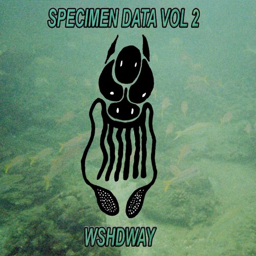 SSR017: Specimen Data Vol 2 - wshdway