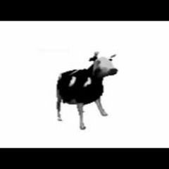 Polish Cow(english cover)
