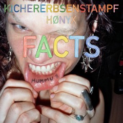 kichererbsenstampf x hoenyx- hummusfacts