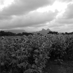 [FREE FOR NOT PROFIT] SIK-K Type Beat "Lost Touch" (Prod. by Y.L.A)