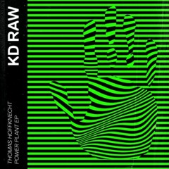 Power Plant (Original Mix) - KD RAW 049