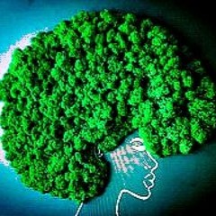 Alufro al Musgo Afro