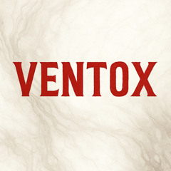 SEKTION 2 MIX | VENTOX