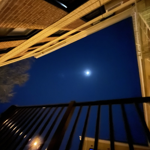 You Shot ft MeechGeek