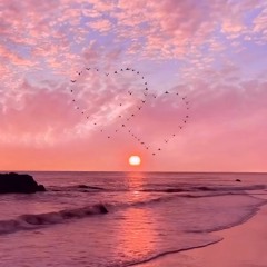 soothing bahamas