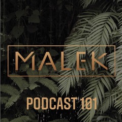 Podcast Episode 101