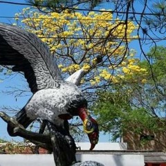 Cachaca clásicos 1