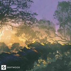 Driftwood (Free)