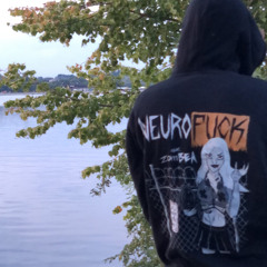 Neurolake