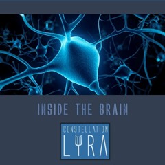 Constellation Lyra - Inside The Brain