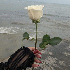 ‎⁨أصبحت احبك و اصبح الملك لله..⁩