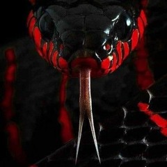 SNAKES 🐍🐍🐍