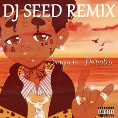 Sanguine Paradise, Lil Uzi Vert - DJ SEED REMIX