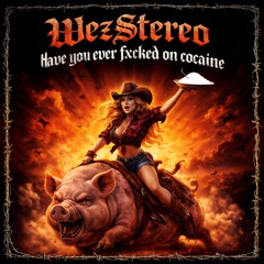 Have you ever fxcked on cocaine