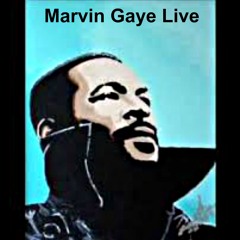 DJ Marky : Influences Playlist