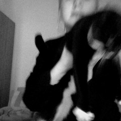 are u lonesome tonight