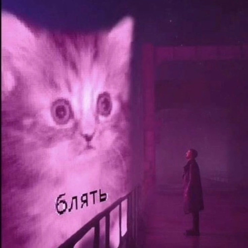 RAVE-WAVE