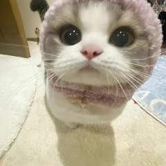 :D