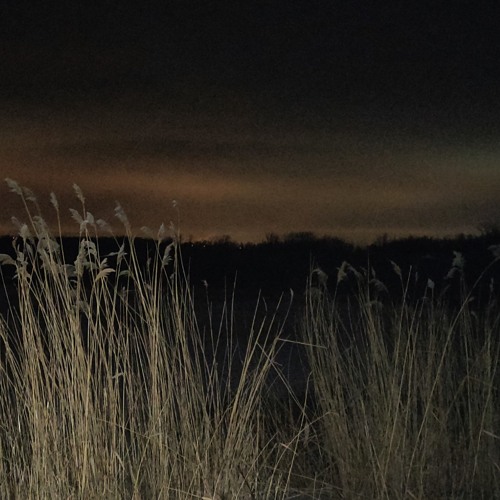 it's getting cold outside