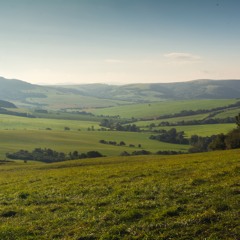 Torn America (Emotional Americana)