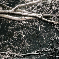 손 끝 With Urban Fisher (Rough demo)