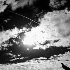 Metástasis (Acústico).wav