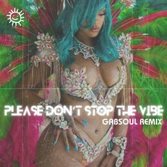 Please Don't Stop The Vibe (GabSoul Remix)