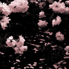 Selena Gomez - Come & Get It (remix)