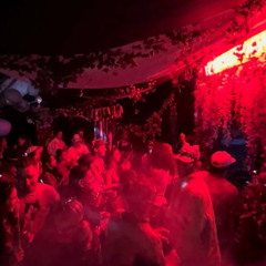 Aaron F Live at NSA/Groovewell Campout 2024