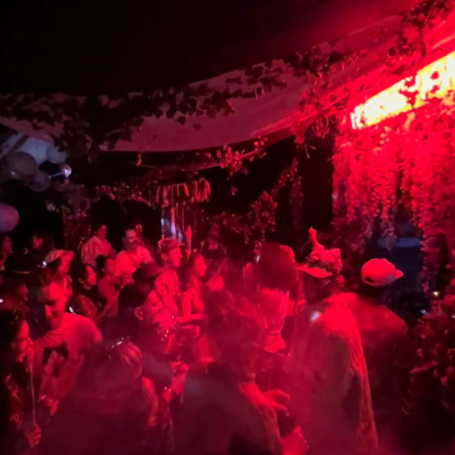 Aaron F Live at NSA/Groovewell Campout 2024
