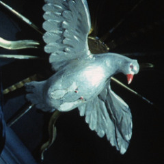 Its All Good - prod. nonbruh