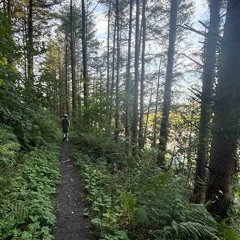 I haven’t gone outside today..