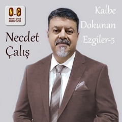 Yollarımı Bağladılar Bı̇rtanem