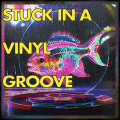 Stuck In A Vinyl Groove