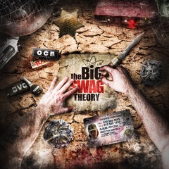 Теория большого свага