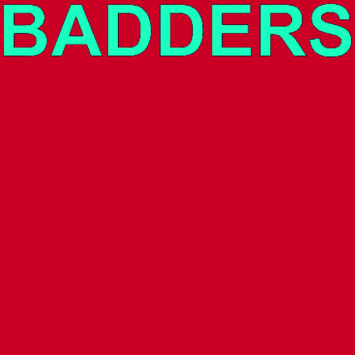 Skrillex, PEEKABOO, G-Rex & Flowdan - BADDERS (CHVGZ Edit)