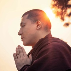 Gyalwa Karmapa XVII 2. - Vajra - Vidarana