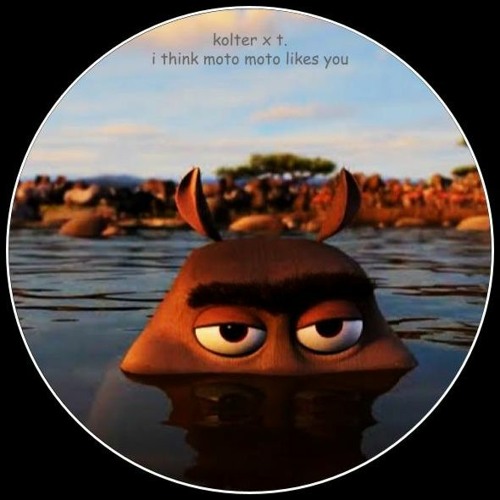 I Think Moto Moto Likes You Song I Think Moto Moto Likes You (Kolter MIX) - Listen to music