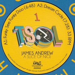 James Andrew - A Slice of Nice (TSOL 001)