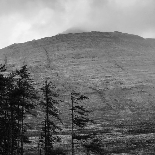 YARNcast 127 - Shaped & Suinyl