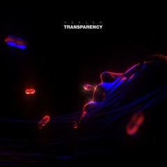 TRANSPARENCY VIP