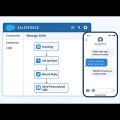 Salesforce Messaging Made Simple: SMS, MMS & Automation
