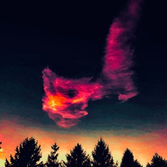 Nebula