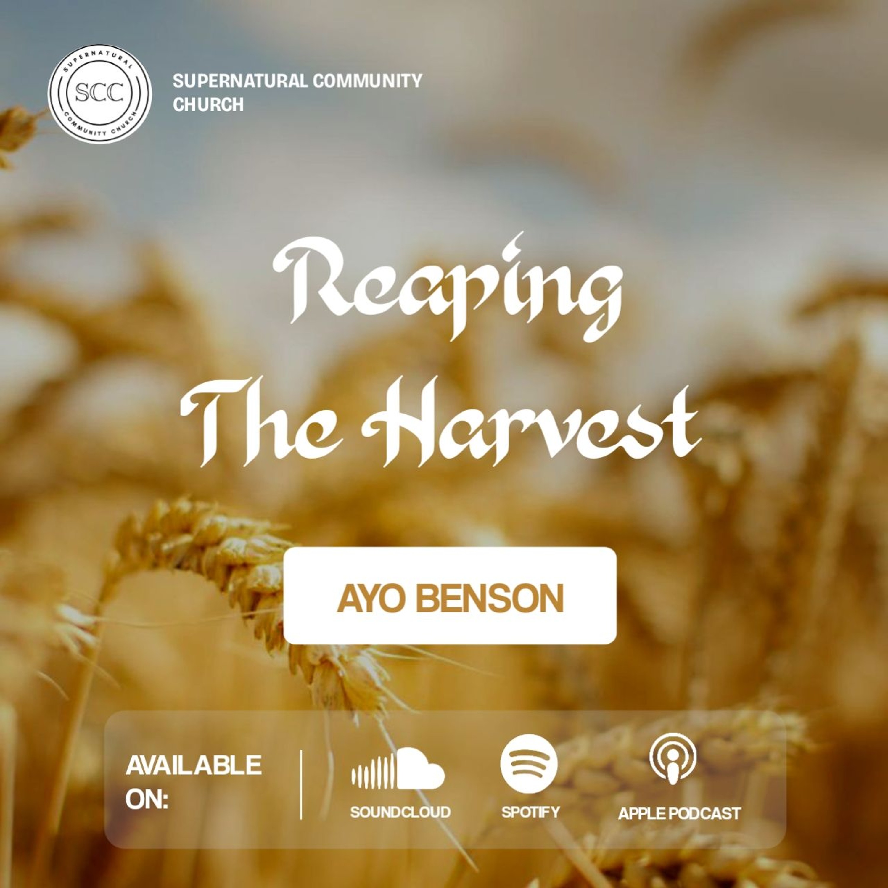 Reaping The Harvest
