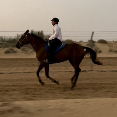 مرعب 🏆