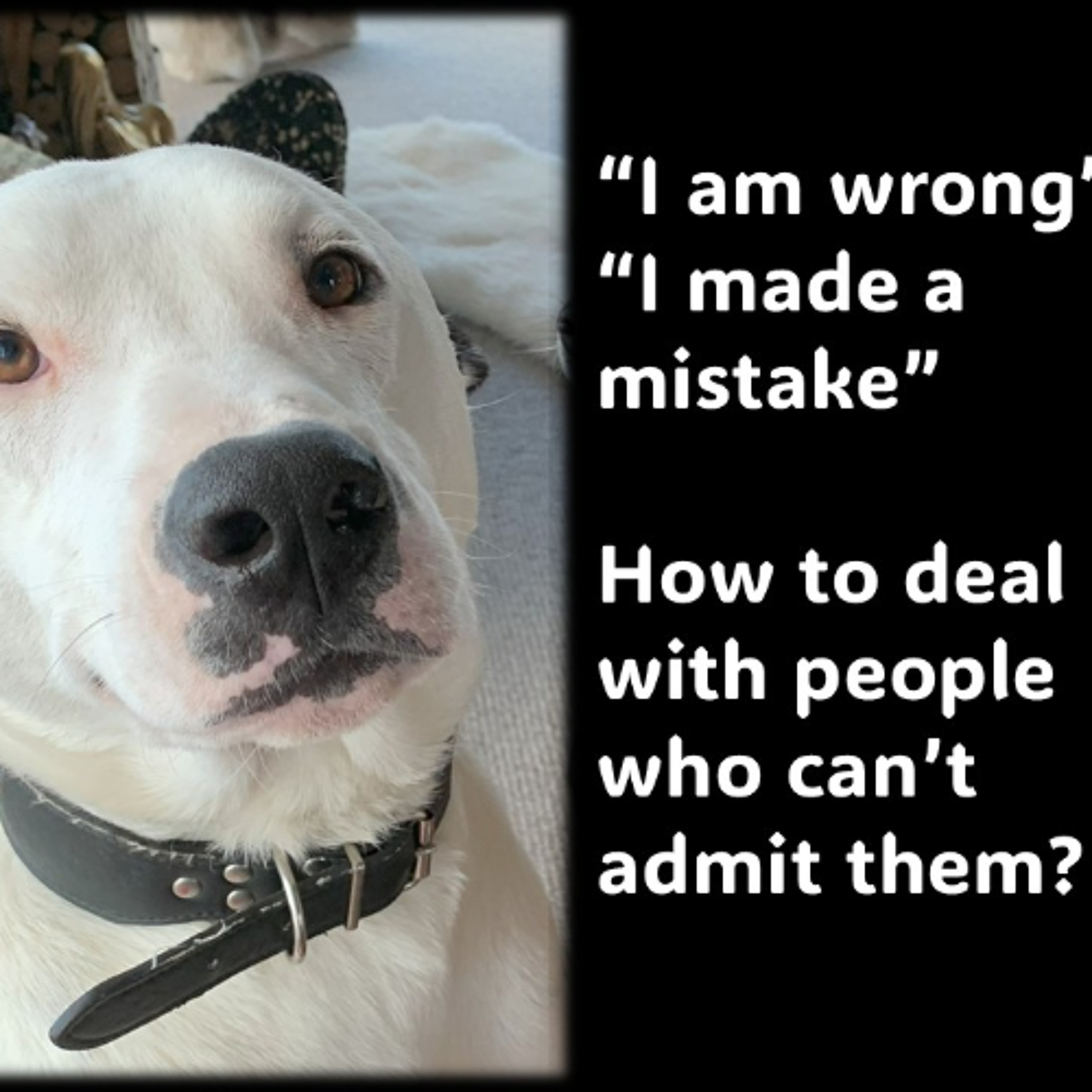 Admit you are wrong…How to deal with the people who can’t