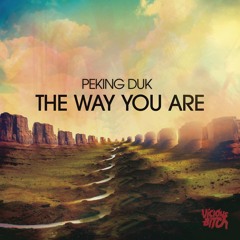 The Way You Are (The Phantom's Revenge Remix)