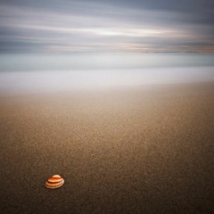 海洋的記憶 Memories of the ocean I